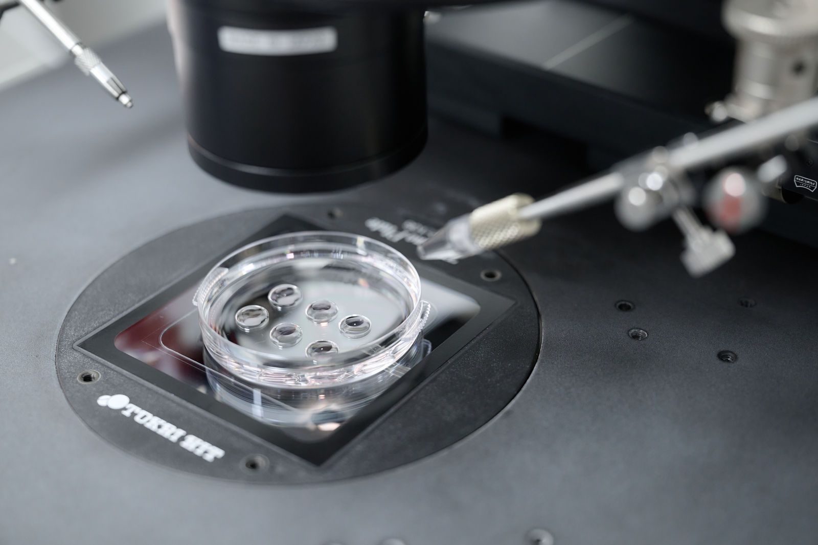 Angel Baby IVF Clinic — PGT-A embryo genetic testing