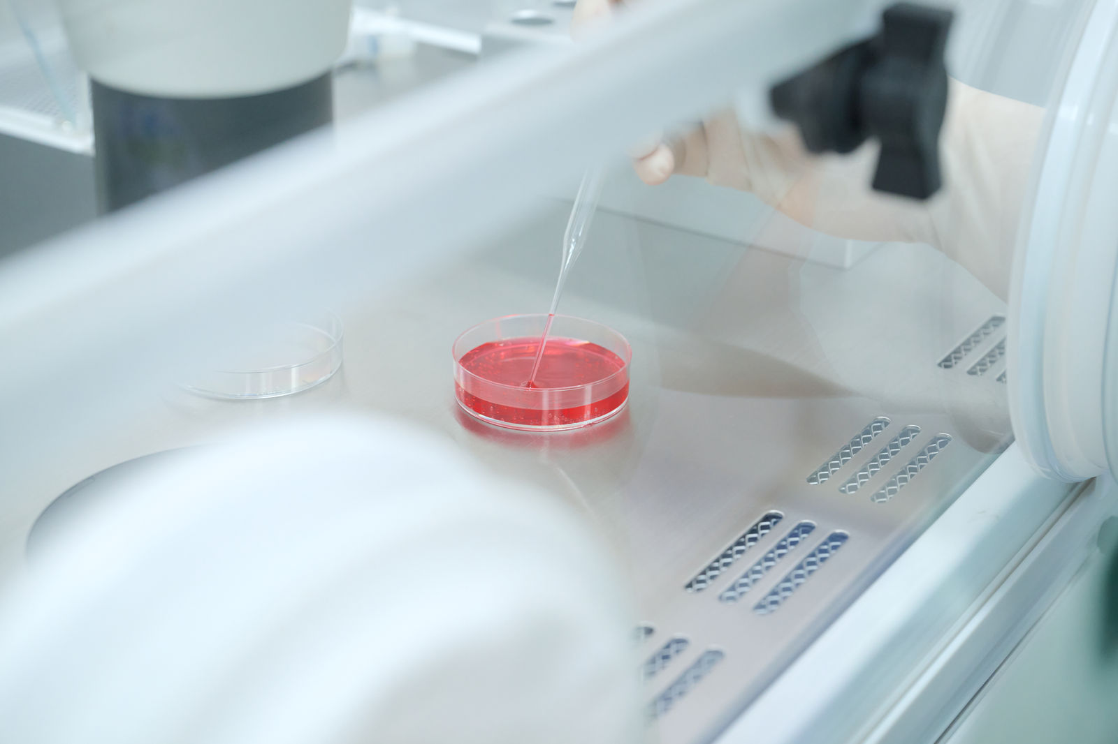 Angel Baby IVF Clinic — IUI procedure