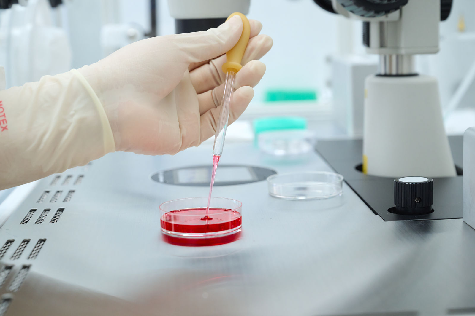 Angel Baby IVF Clinic — egg freezing